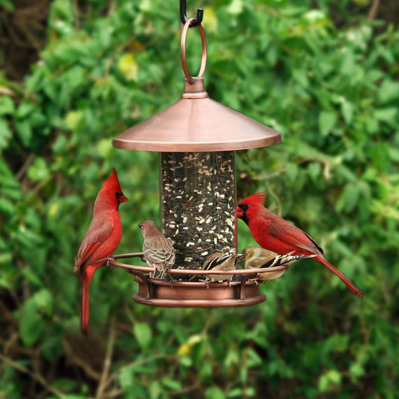 Good Directions Classic Perch Bird Feeder in Copper Finish