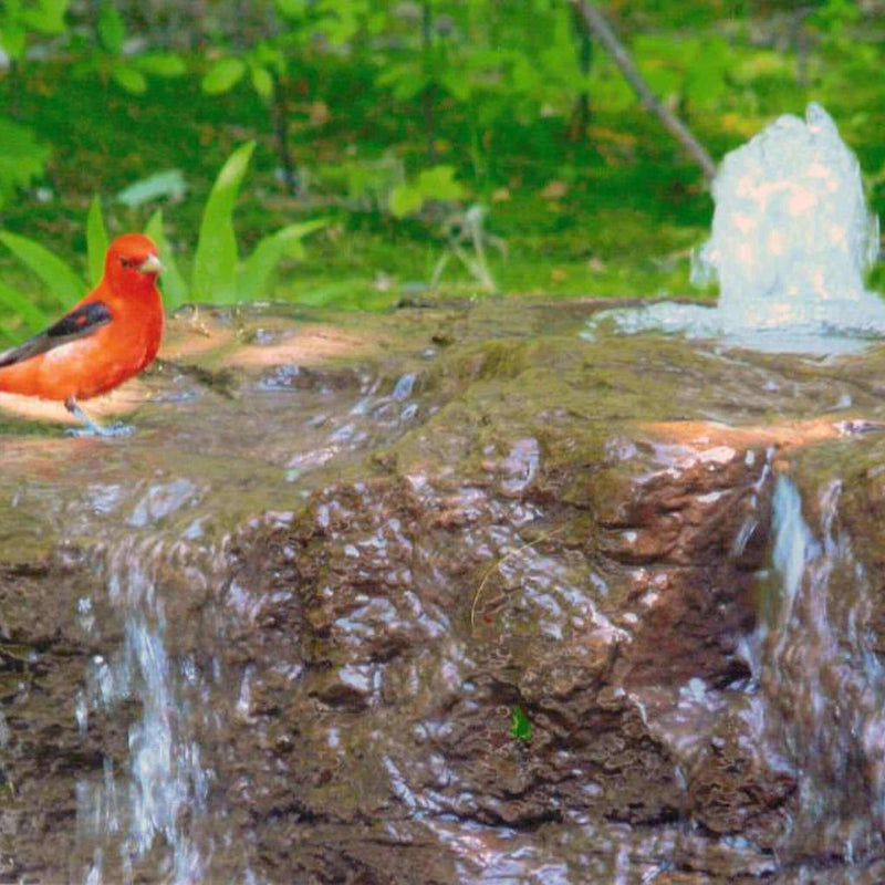 Large Bird Bath GFRC Boulder Fountain - Complete Kit - Blue Thumb